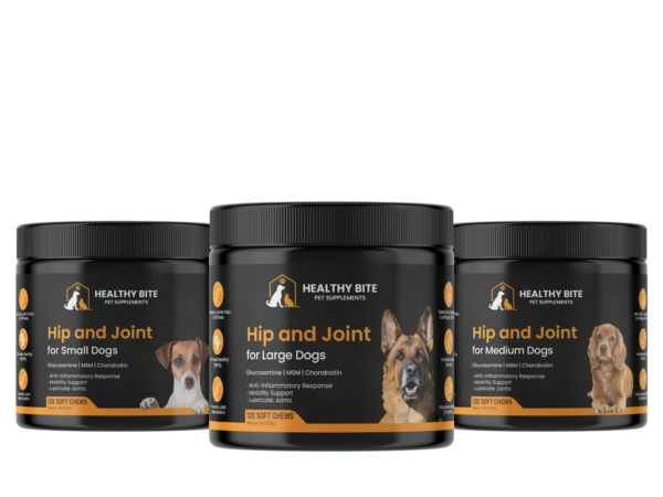 Hip and Joint